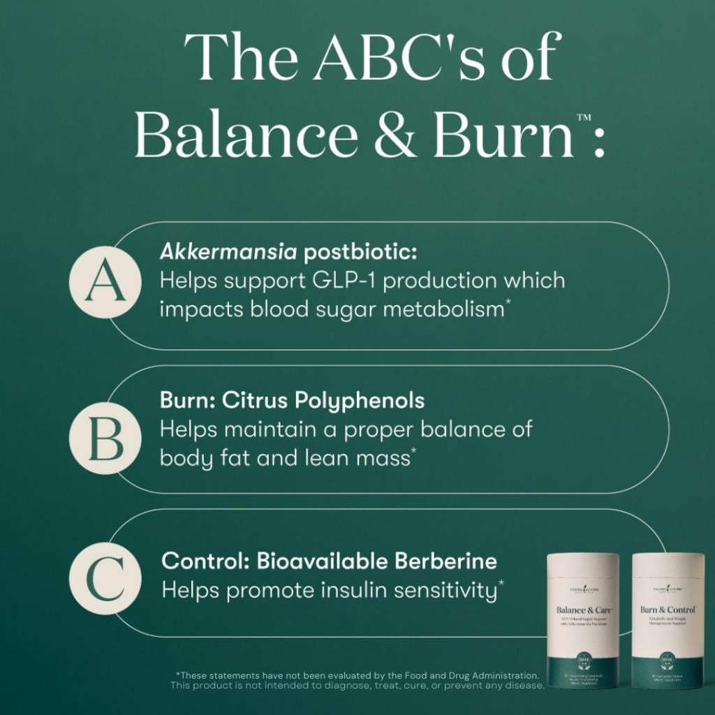 Balance and Burn product system
